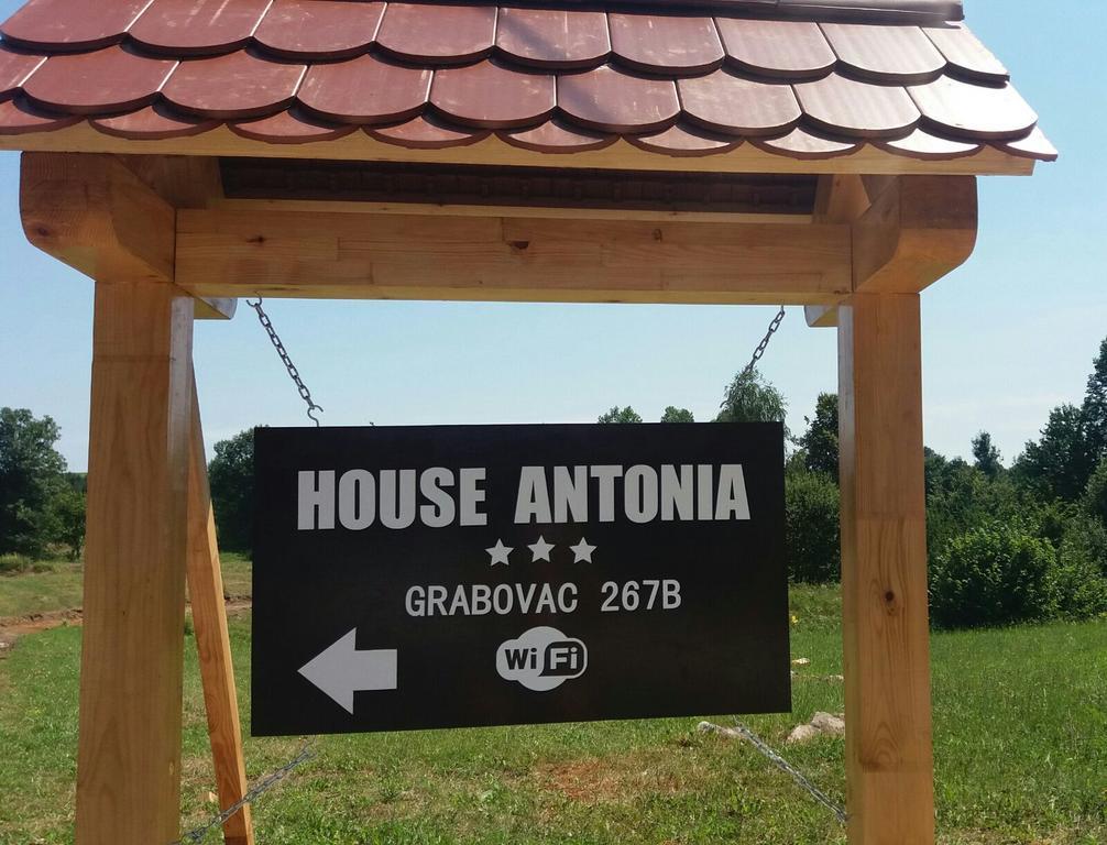 House Antonia Hotel Grabovac Kültér fotó